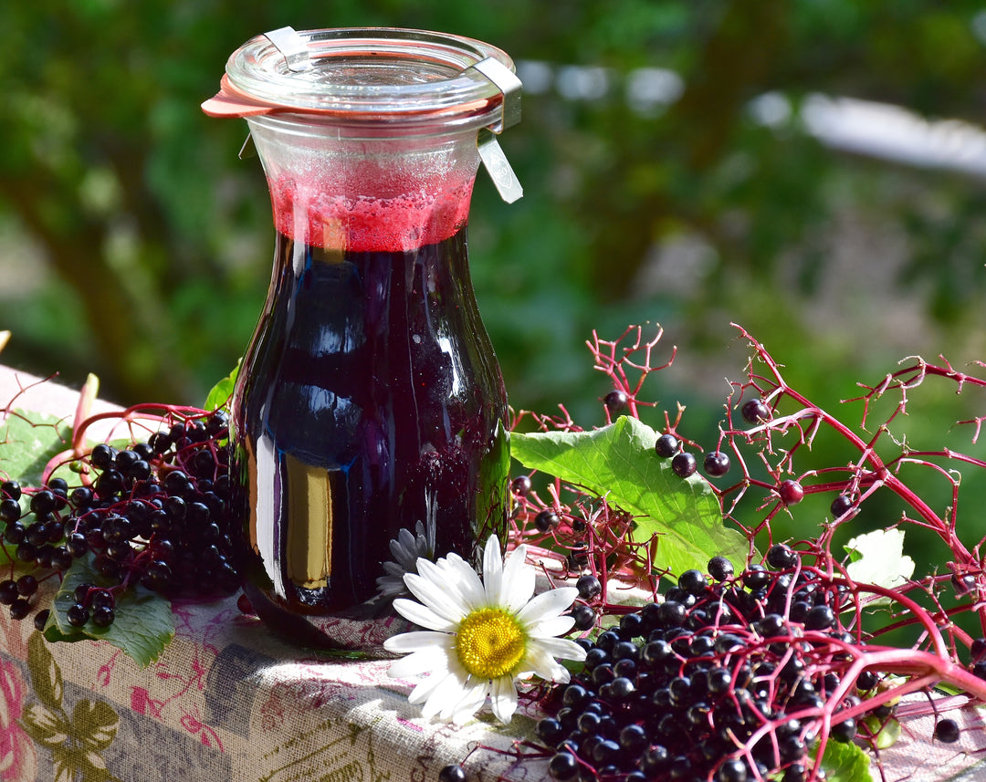 Elderberry Recipe