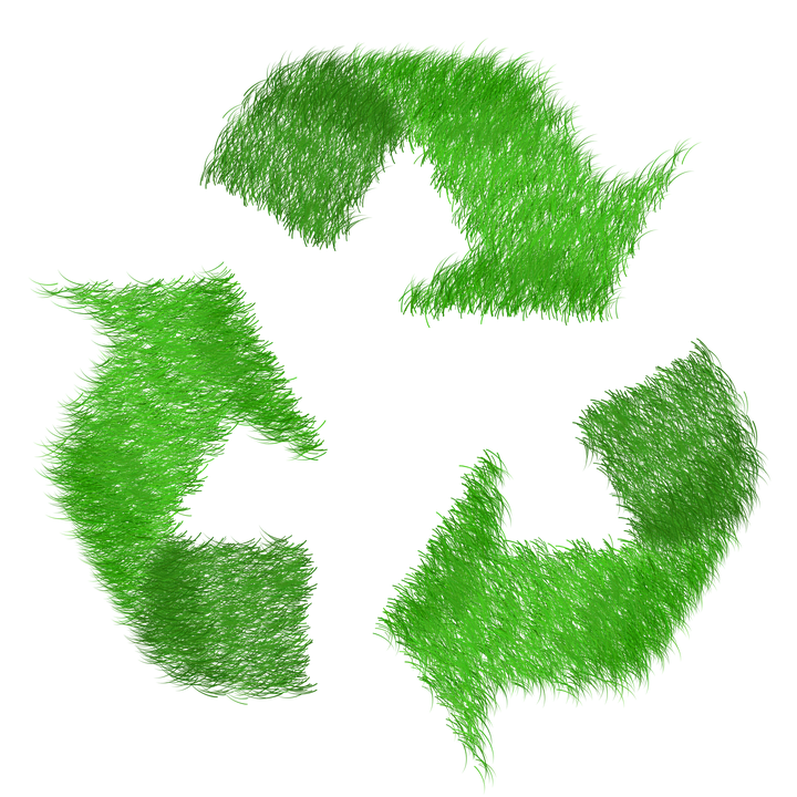 Environmental Responsibility